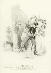 La bisbetica domata
